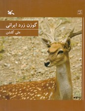 تصویر  گوزن زرد ايراني / حيات وحش ايران