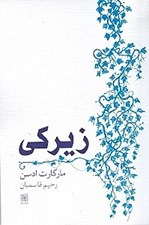 تصویر  زيركي