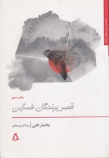 تصویر  قصر پرندگان غمگين