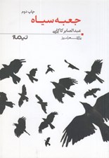 تصویر  جعبه سياه / پازل شعر امروز 24