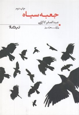 تصویر  جعبه سياه / پازل شعر امروز 24