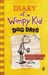 تصویر  Dog days: diary of a wimpy kid 4