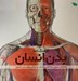 تصویر  فرهنگ نامه بدن انسان (راهنماي مصور ساختمان كاركرد و بيماري هاي بدن انسان)
