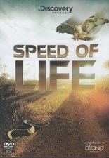 تصویر  speed of life