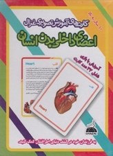 تصویر  اعضاي داخلي بدن انسان / كارت هاي آموزشي تصويري