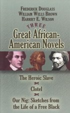 تصویر  three great african - american novels