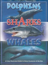 تصویر  Dolphins Sharks and Whales
