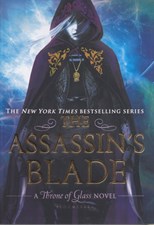 تصویر  The Assassin's Blade