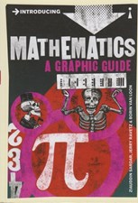 تصویر  Mathematics (a graphic guide)