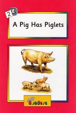 تصویر  a pig has piglets