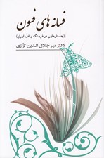 تصویر  فسانه هاي فسون (جستارهايي در فرهنگ و ادب ايران)