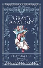 تصویر  Gray's Anatomy