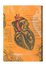 تصویر  دفتر وزيري 100 برگ Anatomy Heart