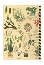 تصویر  دفتر وزيري 100 برگ Botany plants