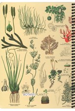 تصویر  دفتر رحلي 100 برگ Botany plants