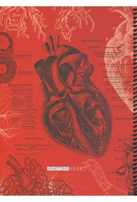 تصویر  دفتر رحلي 100 برگ Anatomy Heart