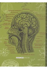 تصویر  دفتر رحلي 100 برگ Anatomy Brain