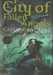 تصویر  city of fallen angels / the mortal instruments 4 - ابزارهاي فاني 4