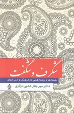 تصویر  شگرف و شگفت (جستارها و نوشتارهايي در فرهنگ و ادب ايران)