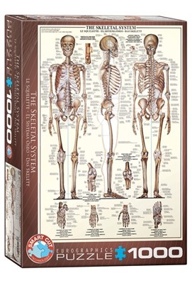 تصویر  پازل 1000 The sheletal system (6000-3970)