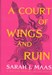 تصویر  A Court of Wings And Ruin - درباري از خار و رز (جلد سوم)