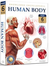 تصویر  Knowledge Encyclopedia: Human Body 6 books