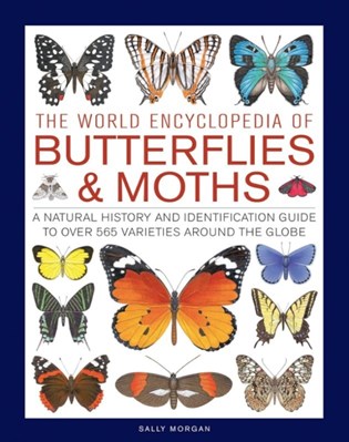 تصویر  The World Encyclopedia of Butterflies & Moths