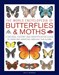 تصویر  The World Encyclopedia of Butterflies & Moths