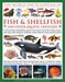 تصویر  The World Encyclopedia of Fish & Shellfish