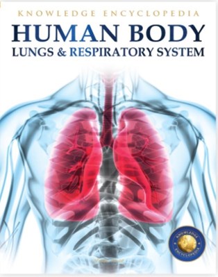 تصویر  Human Body: Lungs And Respiratory System