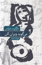 تصویر  مي گويند ويران كن