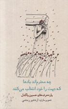 تصویر  چه محترم اند بادها كه جهت را خود انتخاب مي كنند (پاره حرف هاي حسين پاكدل)