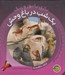 تصویر  يك شب در باغ وحش / بازي با نور و رنگ