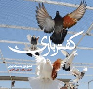تصویر  كفتر بازي (عشق بازي به سبك ايراني)