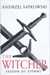 تصویر  Season Of Storms: Introducing the Witcher 8