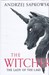 تصویر  The Lady Of The Lake: Introducing the Witcher 7