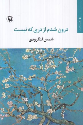تصویر  درون شدم از دري كه نيست
