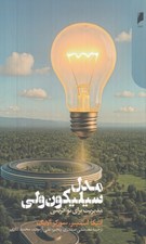 تصویر  مدل سيليكون ولي (مديريت براي نوآفريني)