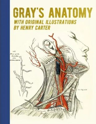 تصویر  Gray's Anatomy (With Original Illustrations by Henry Carter)