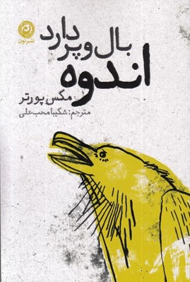 تصویر  اندوه بال و پر دارد