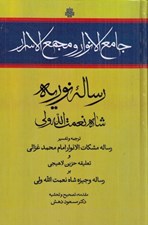 تصویر  جامع الانوار و مجمع الاسرار (رساله نوريه شاه نعمت الله ولي) / ترجمه و تفسير رساله مشكات الانوار امام محمد غزالي و تعليقه حزين لاهيجي بر رساله وجيزه شاه نعمت الله ولي