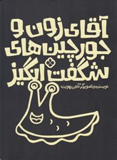 تصویر  آقاي زون و جورچين هاي شگفت انگيز