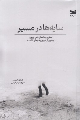 تصویر  سايه ها در مسير (سفري به اعماق ذهن و روح بيداري از طريق زخم ‌هاي گذشته)
