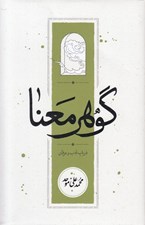 تصویر  گوهر معنا (در باب ادب و عرفان)