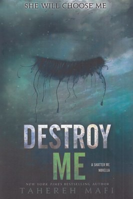 تصویر  Destroy Me