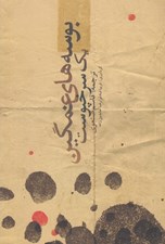 تصویر  بوسه هاي غمگين يك سرخپوست