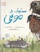 تصویر  مهدكودك موشي