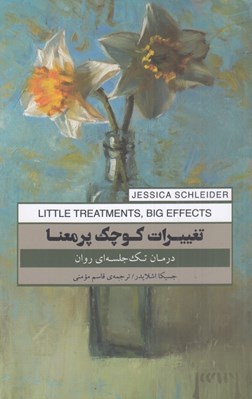 تصویر  تغييرات كوچك پرمعنا (درمان تك جلسه اي روان)