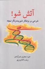 تصویر  آتش شو ! (شرحي بر بزهكار شوريده رنگ نيچه)