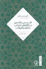 تصویر  قاب بستن نگاه خيره در كاخ هاي عثماني صفوي و گوركاني / در اقليم هنر 3